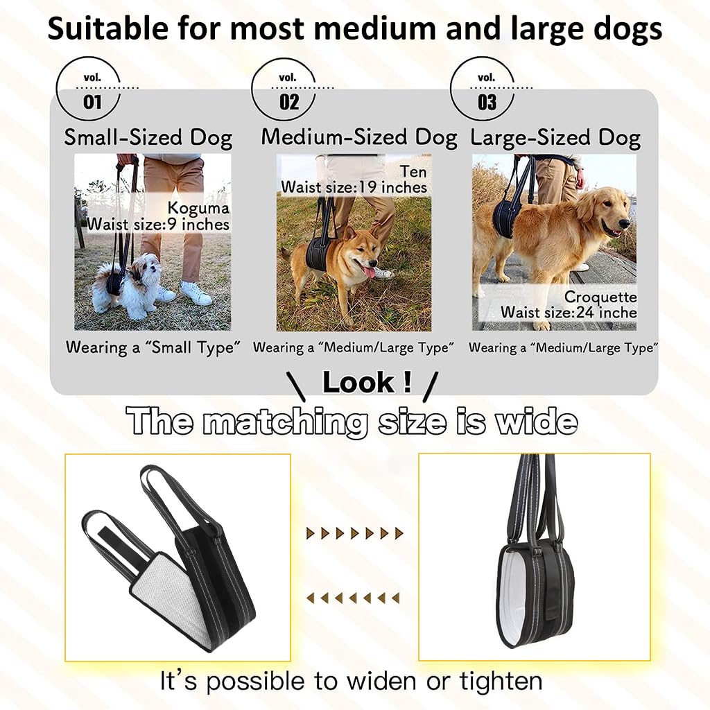Qpets Dog Lift Harness Rear Leg Use Lifting Harness for Dog Rear Legs Support Adjustable Length and Size Rear Legs Dog Wheelchair for Back Legs for Aging Dog, Disabled, Injured Dog(Size, L)