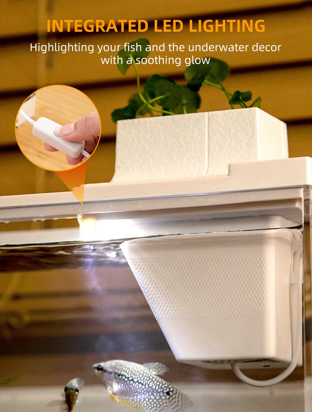 Qpets Mini Desktop Fish Tank with LED, Household Aquarium Betta Fish Tank Open Top Desktop Fish Tank, Small Mute Filter Fish Breeding Box with Air Pump - 30X13X15CM