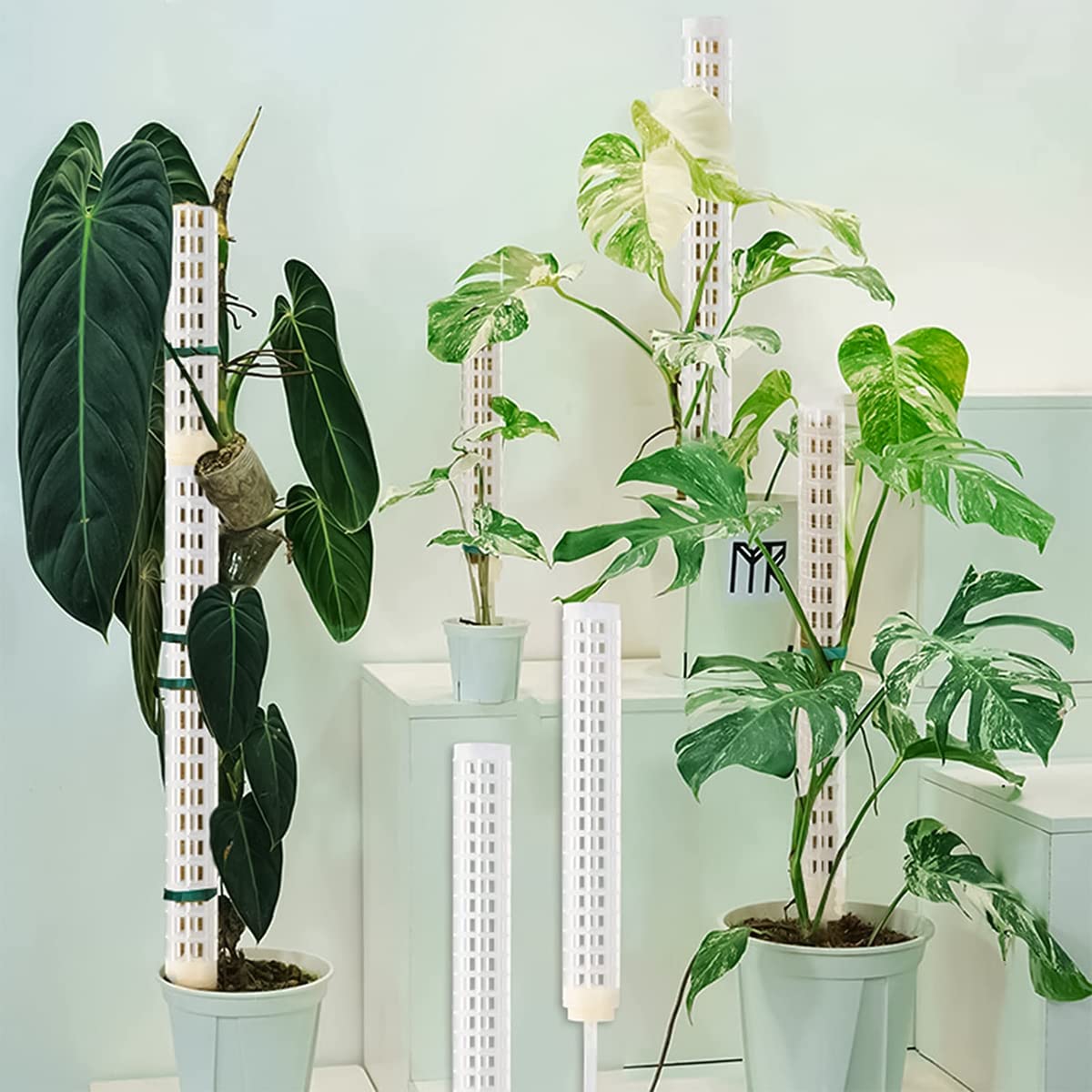 HASTHIP 2pcs 25cm Moss Stick for Plants with 5 Lables and 1 Roll Velcro, Plastic Plant Stakes and Supports for Money Plant, Climbing Indoor Plants