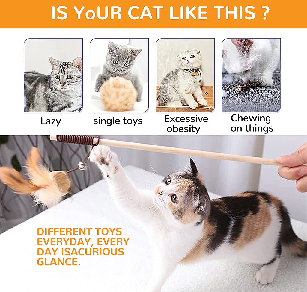 Qpets Premium Cat Toy Interactive Cat Toys Set of 5 Cat Teaser Wand Pet Toy for Cat Activity Fishing Rod with Mouse Natural Feathers Toys for Kittens to Play Cat Games and Toys Mouse Toy