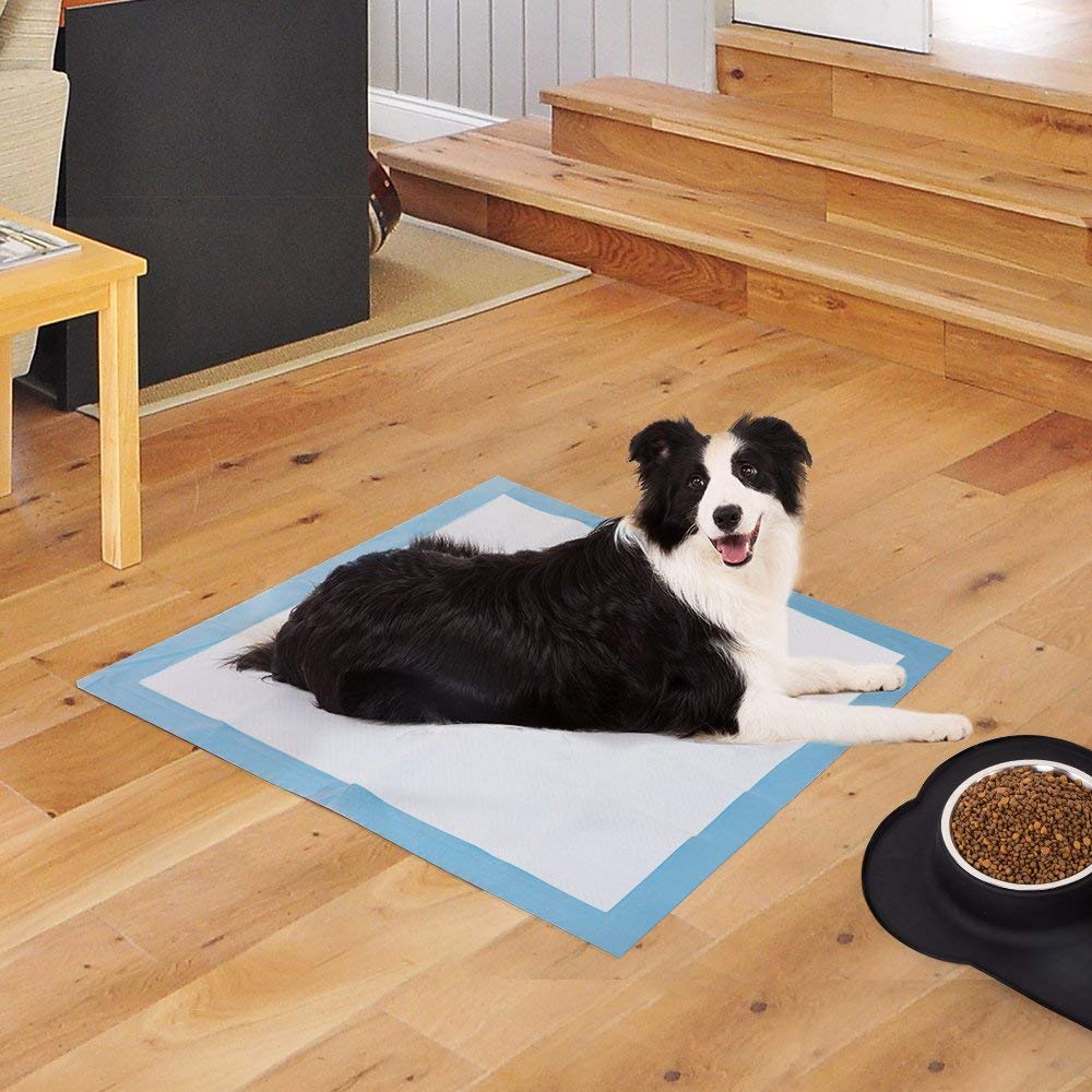 Qpets Pack of 40 Pee Pads for Dogs Bamboo Charcoal Deodorization Training Pads for Dogs Strong Water Absorption Dog Training Pad Soft and Light Puppy Dog Pee Mats(60 * 60CM)