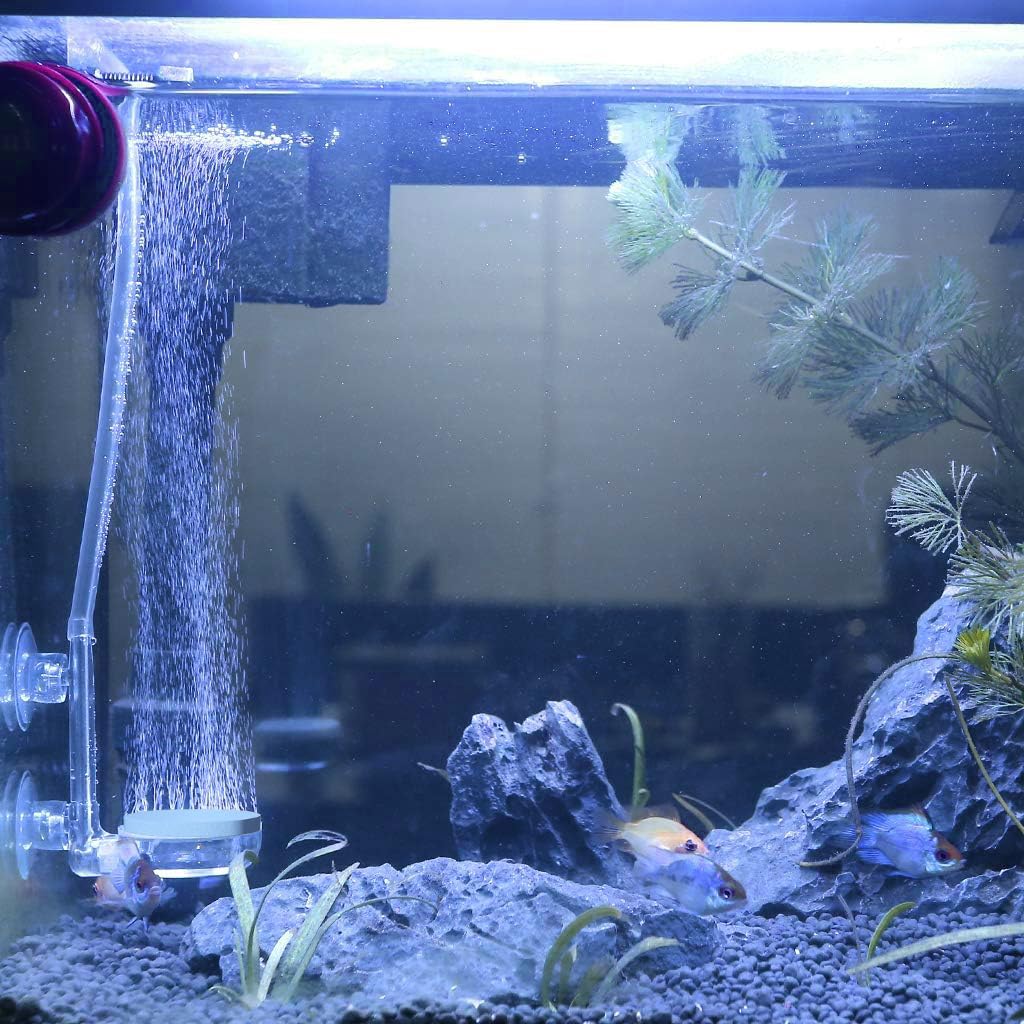 Qpets Fish Tank Bubbler for Oxygen Generator Air Stone Water Bubbler with Adjustable Air Flow Valve Wall Mounted Diffuser Bubbler with Dual Suction Cup (Diameter 8.5cm)