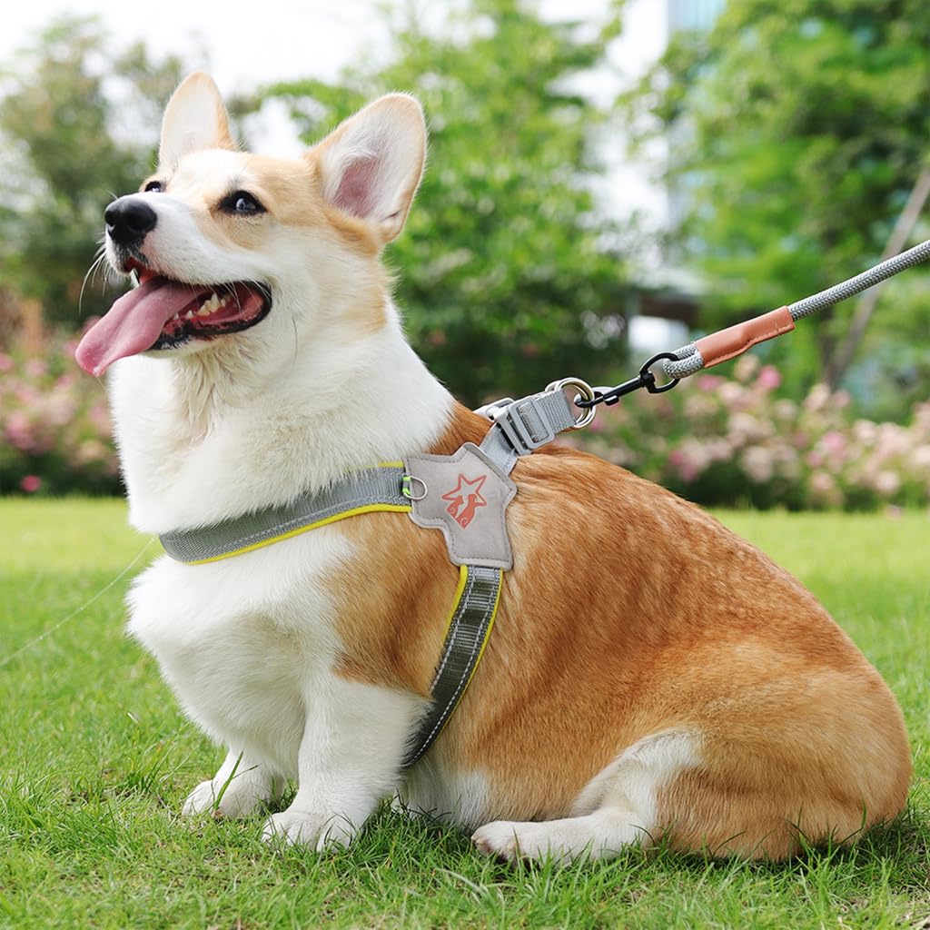 Qpets Large Dog Harness, Adjustable Outdoor Pet Vest Harness, Dog Harness with Safety Reflective Strap & Fashionable Double D-Rings, Easy to Control for Large Dogs (Without Leash, Size L)