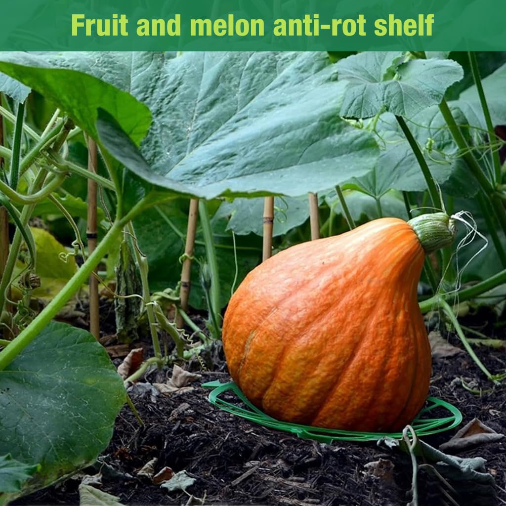 HASTHIP Melon Cradle Squash Cradle 7.6 Inches Round Plastic Melon Cradle Melon Fruit Holder Plant Support Cradle for Melons, Squash