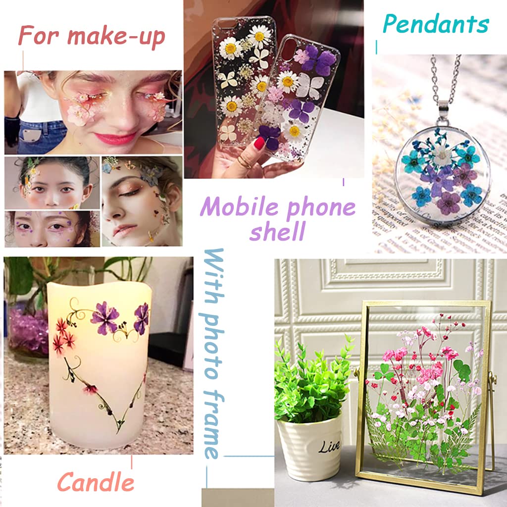 Supvox DIY Resin Art Decor Natural Dried Flower Set for Resin Art Scented Candle Decor Photo Frame Ornament Room Decoration(Lavender Blue)