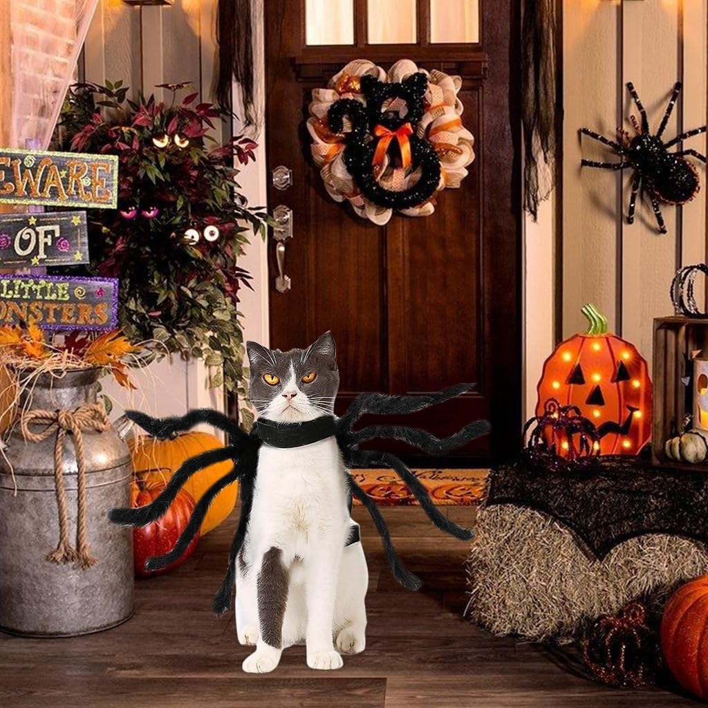 Qpets Halloween Fun Dog Clothes, Small Dog Costume, Spooky Spider Dog Clothes Cats Clothes Small Dogs Cats Fun Halloween Costume, M