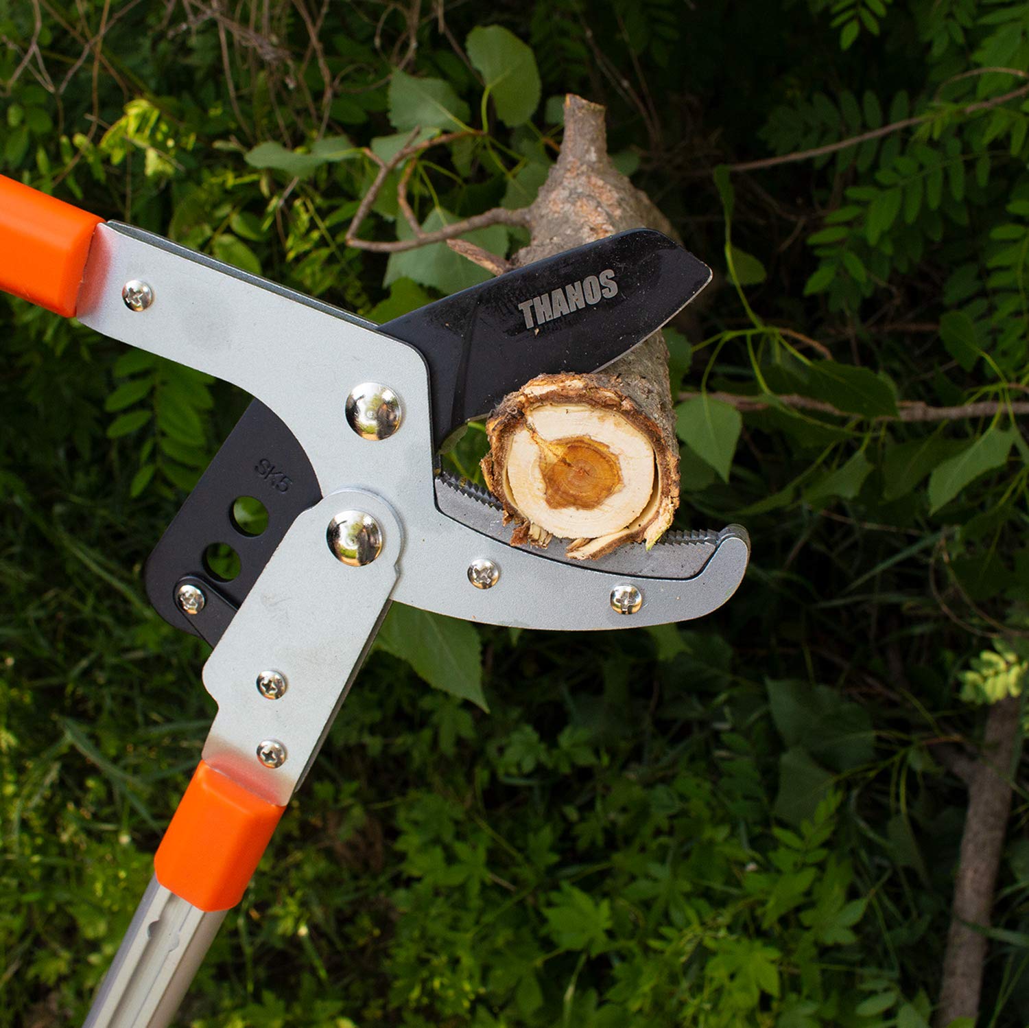 HASTHIP Branch Cutter for Tree with 28-40'' Telescopic Handle and Compound Action, Professional Heavy Duty Bypass Lopper, SK5 Steel Blade Tree Trimmer, 2 inch Clean Cut Capacity