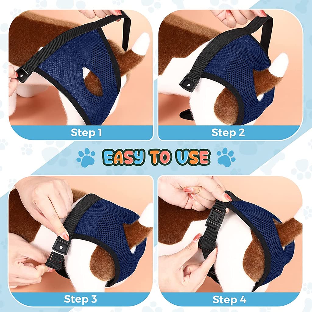 Qpets Pet Use Breathable Reusable Female Dogs Diapers with 3 Absorbption Cotton Pad Comfort Reusable Doggy Diapers for Female Dog, Puppy(M, Recommended Waist 13.7''-16.9'')