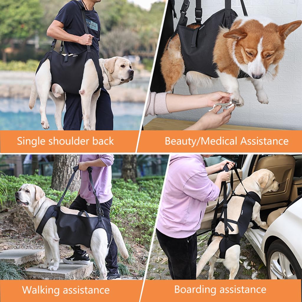 Qpets Dog Lift Harness, Walking Assistant Lifting Harness Dog Walking Support, Adjustable Length and Size Dog Walking Assistant Harness for Aging Dog, Disabled, Injured Dog (XL)