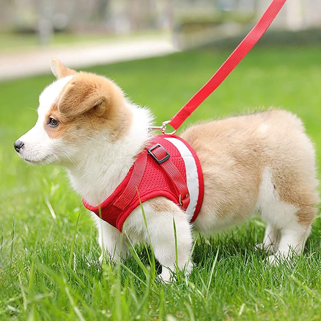 Qpets Dog Vest Harness for Puppy with 1.2m Dog Leash Adjustable Size Dog Vest Harness Breathable Mesh Fabric with Safety Reflective Strip Dog Harness for Dogs of 7.5kg-10kg,(XL, Red)
