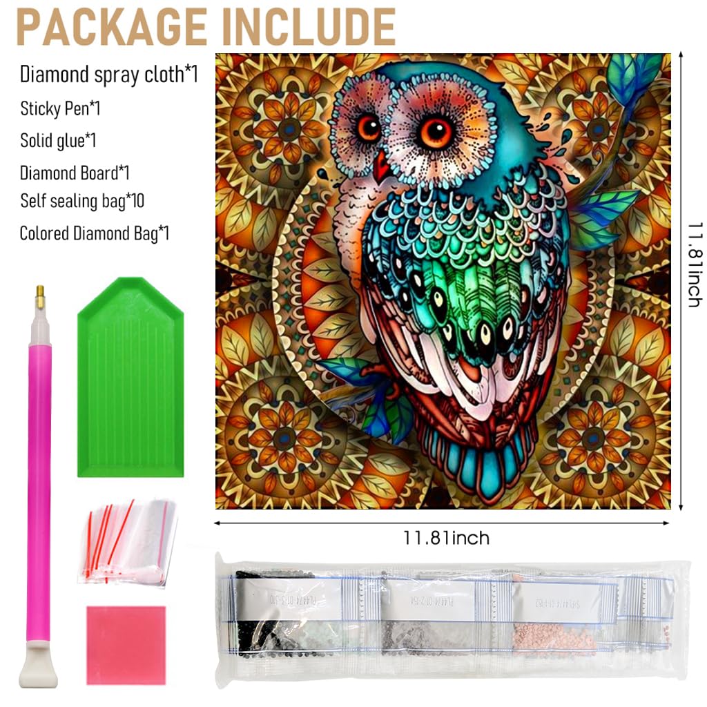 HASTHIP Diamond Painting Kit, 5D Diamond Painting Kit for Adults & Kids, 30 * 30cm Owl Full Drill Rhinestone Embroidery Cross Stitch Pictures Arts Craft for Home Wall Decor (Mandala)