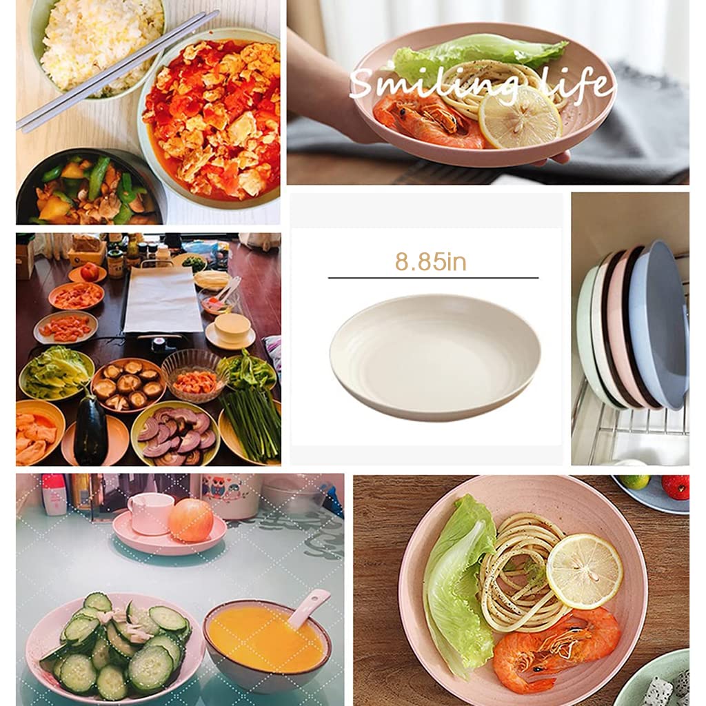 HASTHIP 4Pcs Dinner Plates, 8.8'' Large Degradable Wheat Straw Plates, Unbreakable Microwave Dishwasher Safe Dinner Plates for Party, Picnic, Home, Office, Kids-Toddler & Adult, BPA Free