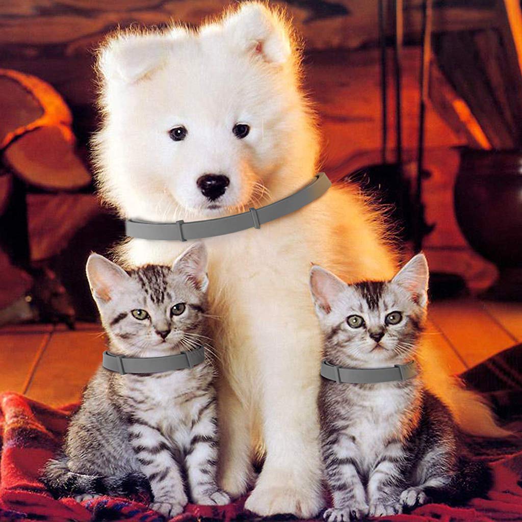 Qpets® 2pcs Flea & Tick Collar for Dogs & Cats, 8 Month Protection, Adjustable 25