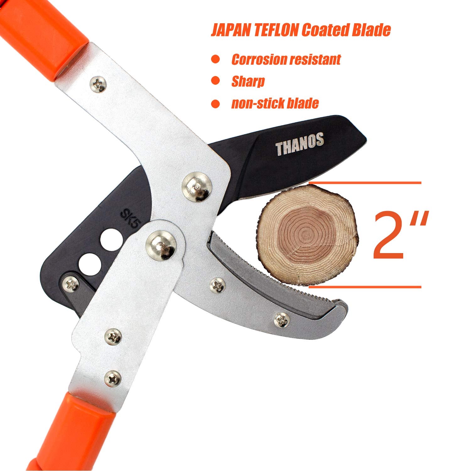 HASTHIP Branch Cutter for Tree with 28-40'' Telescopic Handle and Compound Action, Professional Heavy Duty Bypass Lopper, SK5 Steel Blade Tree Trimmer, 2 inch Clean Cut Capacity