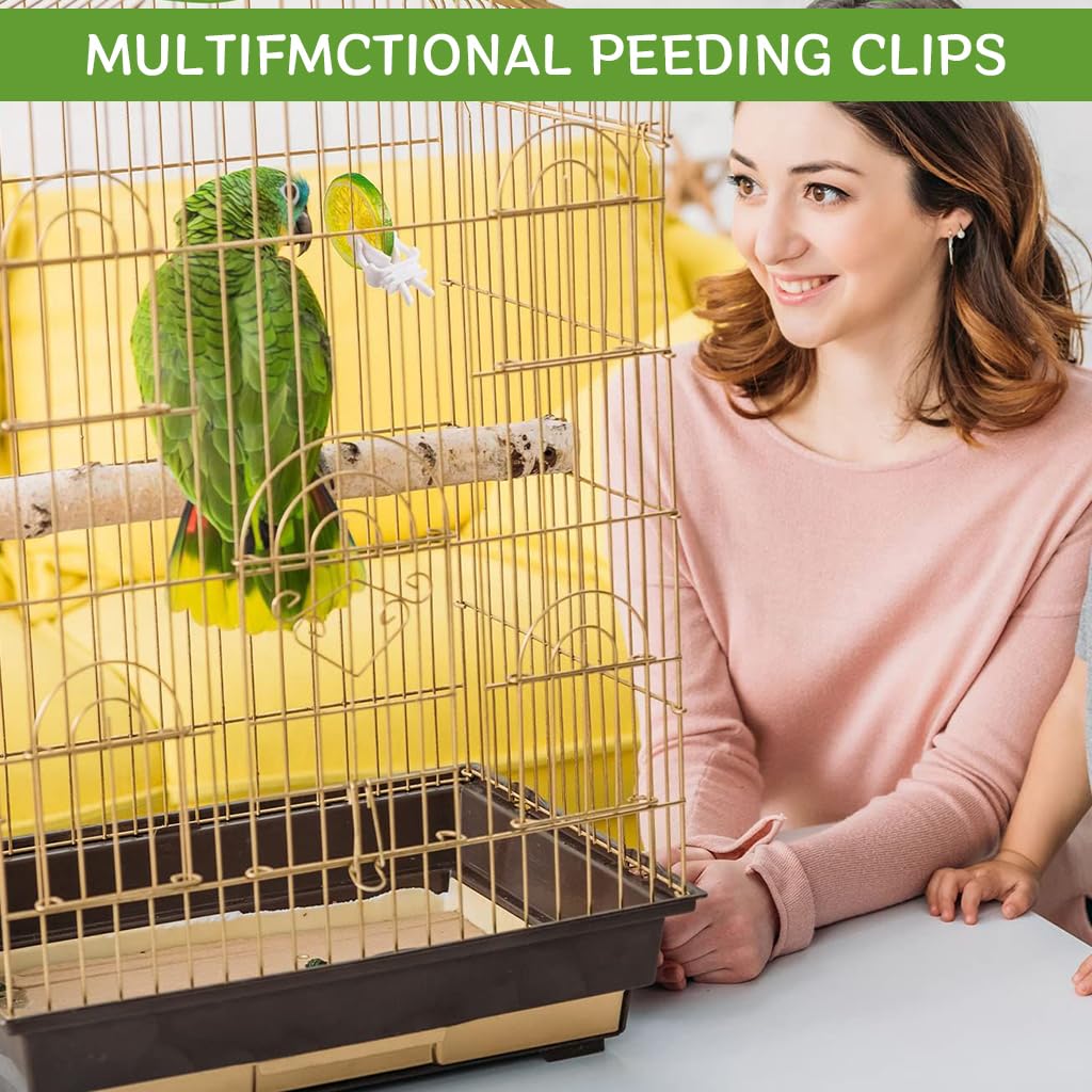 Qpets Pet Food Clip, 6Pcs Bird Food Clips Holder for Cage Fruit Slice Clip Holder for Cage Plastic Bird Food Clip for Fruit Slices, Vegetable Leaf, Stem