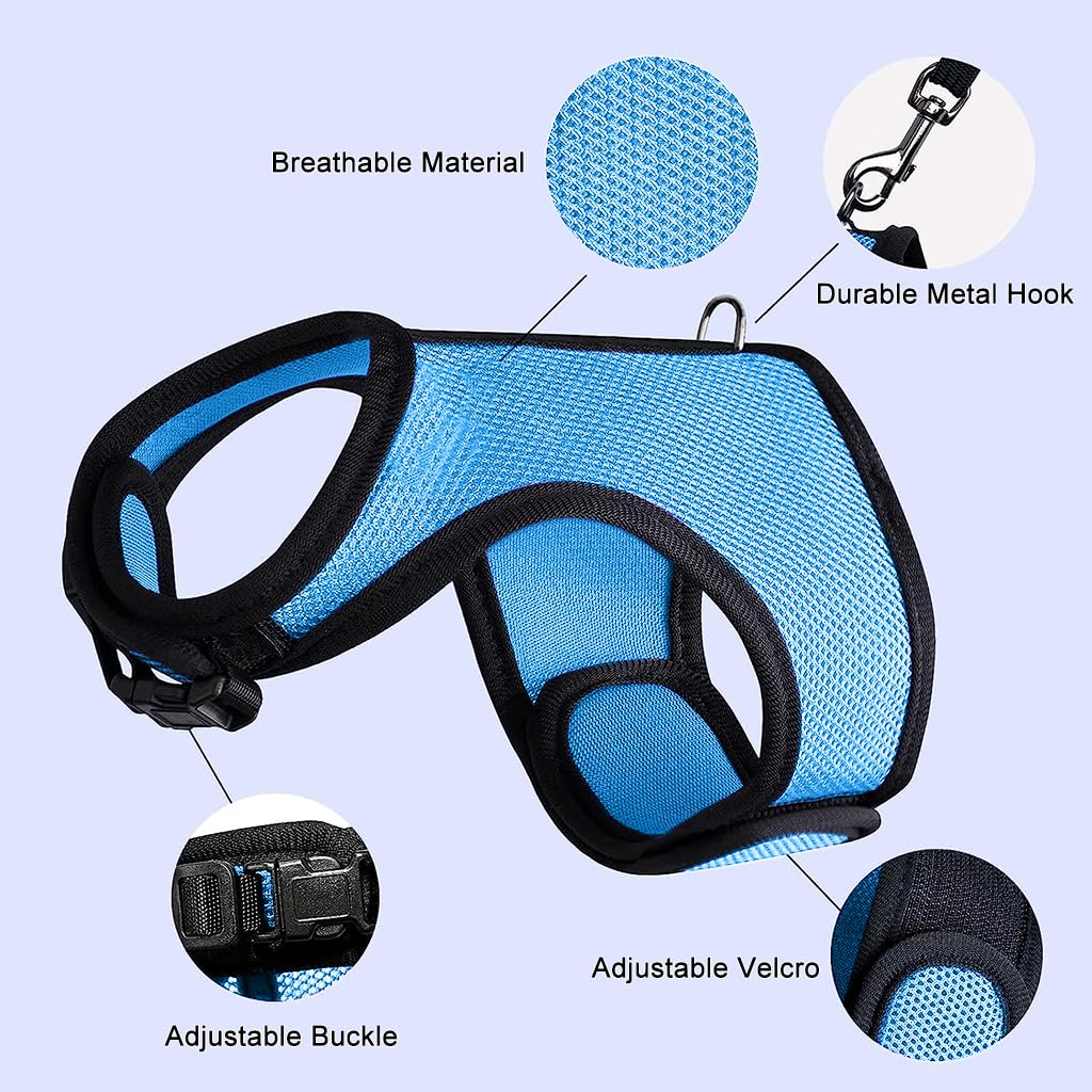 Qpets Rabbit Harness with Leash Breathable Mesh Harness for Rabbit 3.5lbs-6lbs Adjustable Small Pets Harness for Rabbit, Guinea Pigs, Chinchillas (XL, Blue)