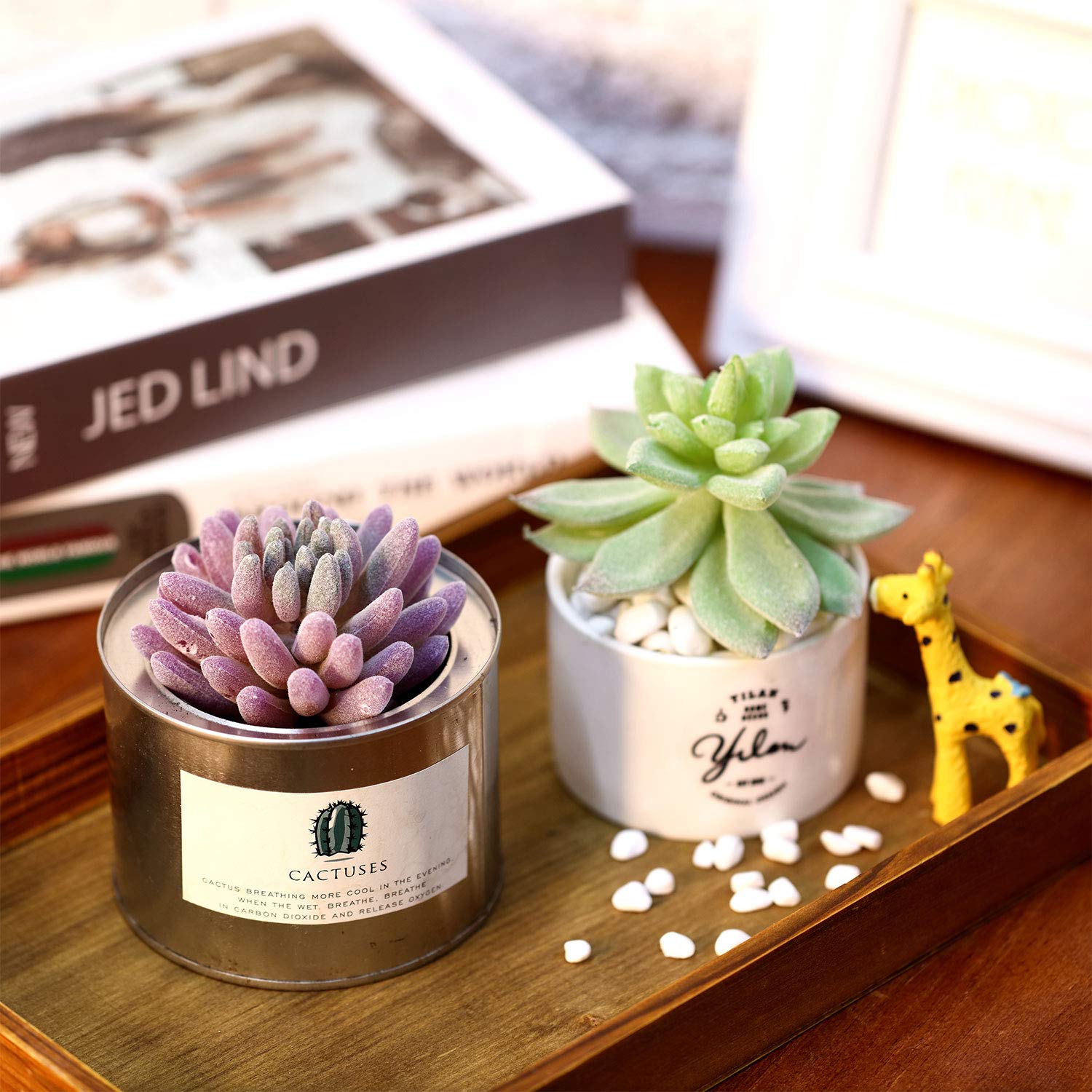 HASTHIP 8Pcs Artificial Succulent Plants, Faux Succulent in Flocked, Fake Textured Succulent for Indoor Outdoor Floral Arrangement Home Decor and DIY Landscape Decorations