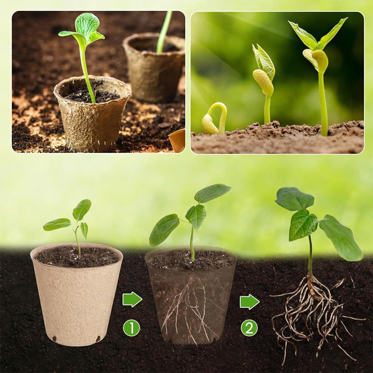 HASTHIP 20Pcs Degradable Nursery Seedlings Pot - 8cm Mini Flower Pots - Pots For Plants Nursery Pots With Draining Holes Pots for Indoor Plants - Plant Pots for All Kinds Flower Plant & Nursery Use