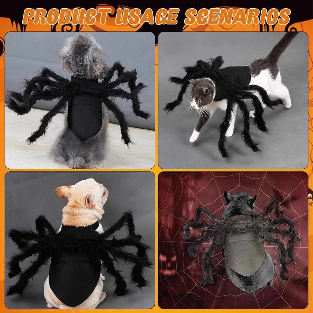 Qpets Halloween Fun Dog Clothes, Small Dog Costume, Spooky Spider Dog Clothes Cats Clothes Small Dogs Cats Fun Halloween Costume, M