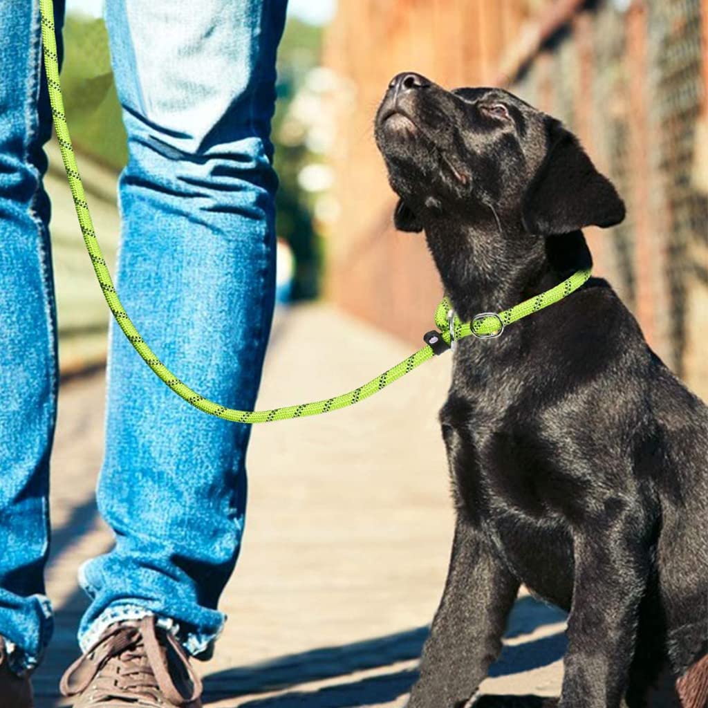 Qpets 1.7m Dog Training Leash, Durable Light Reflecting Dog Leash, Dog Leash for Large Dogs, Adjustable Dogs Leash Anti-Strain Leash Braided Rope for Small Medium Large Dog(Green)