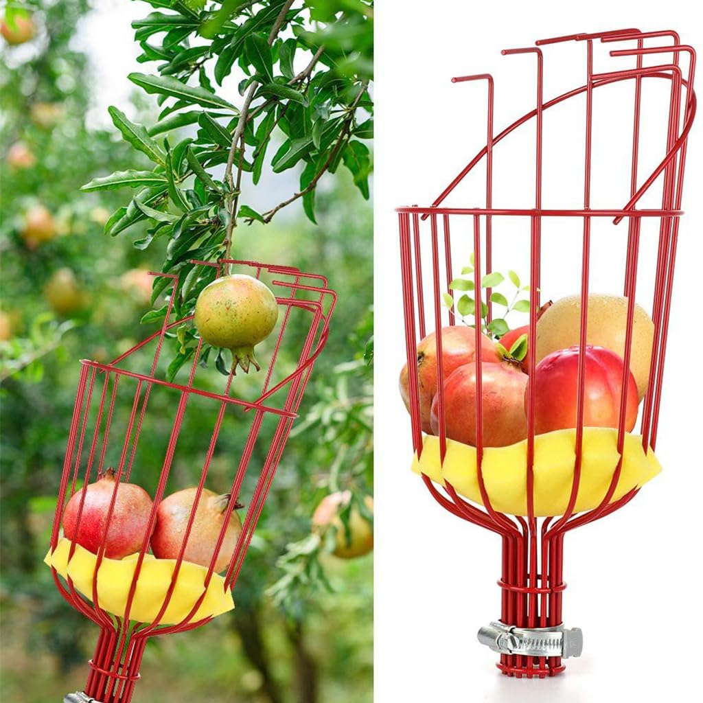 HASTHIP 320cm Fruit Picker with Basket and Telescopic Pole, Fruit Plucker for Coconut, Mango and More, Easy to Use Fruits Catcher Tree Picker