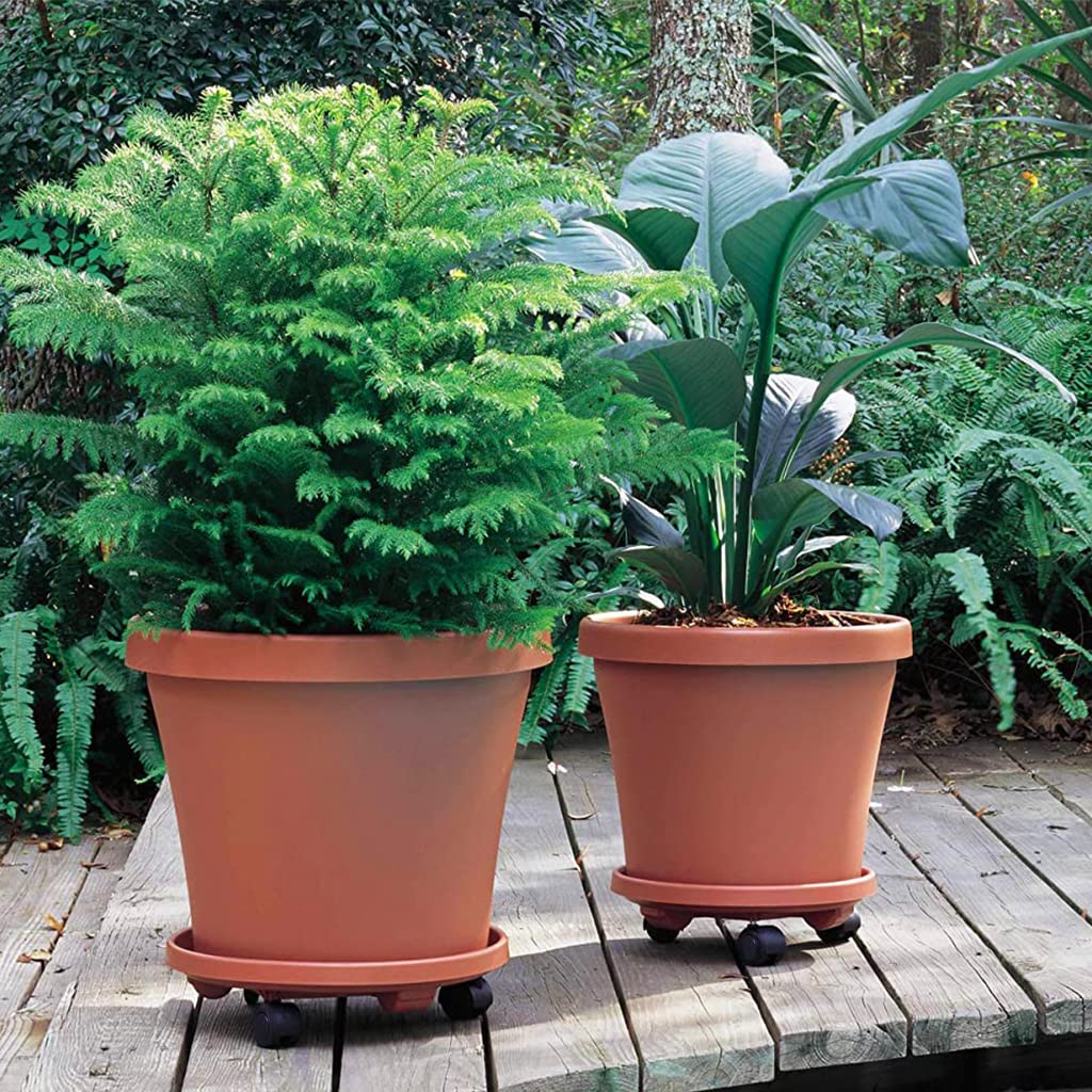 HASTHIP 30cm Plant Pot Stand with Wheels, Thicken Heavy Movable Round Plant Caddy and Multipurpose Trolley for Plant Pot, Cylinder