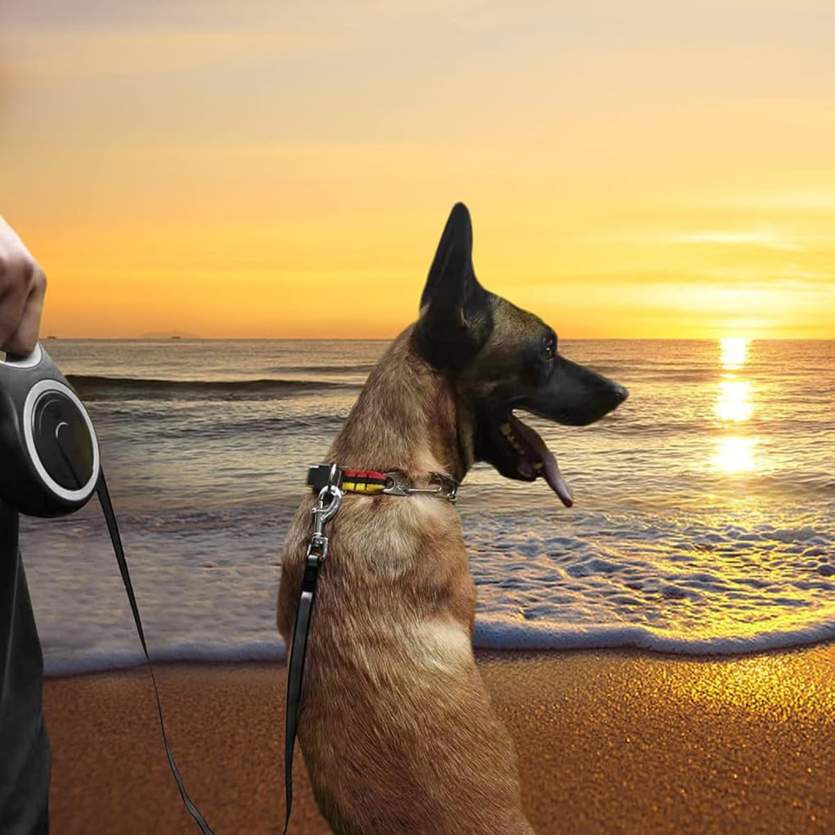 ZIBUYU Retractable Dog Leash 16 Feet Ergonomic Long Leash for Dog and Cat Anti-Slip Handle Quick Release Buckle, One Button Lock & Release, Dogs Leash Flexi for Small to Large Dogs Up to 50kg - Black