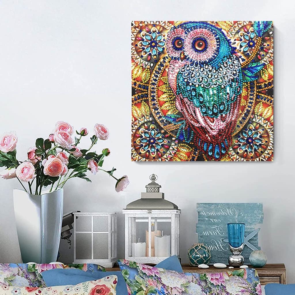 HASTHIP Diamond Painting Kit, 5D Diamond Painting Kit for Adults & Kids, 30 * 30cm Owl Full Drill Rhinestone Embroidery Cross Stitch Pictures Arts Craft for Home Wall Decor (Mandala)