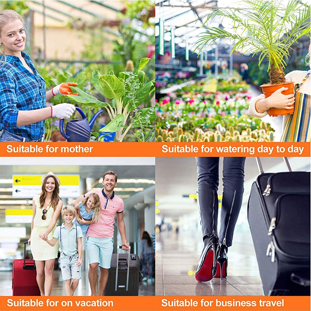 HASTHIP Drip Irrigation System Plant Waterers DIY Automatic drip Water Spikes Taper Watering Plants Automatic houseplant Watering 12 pcs/Set