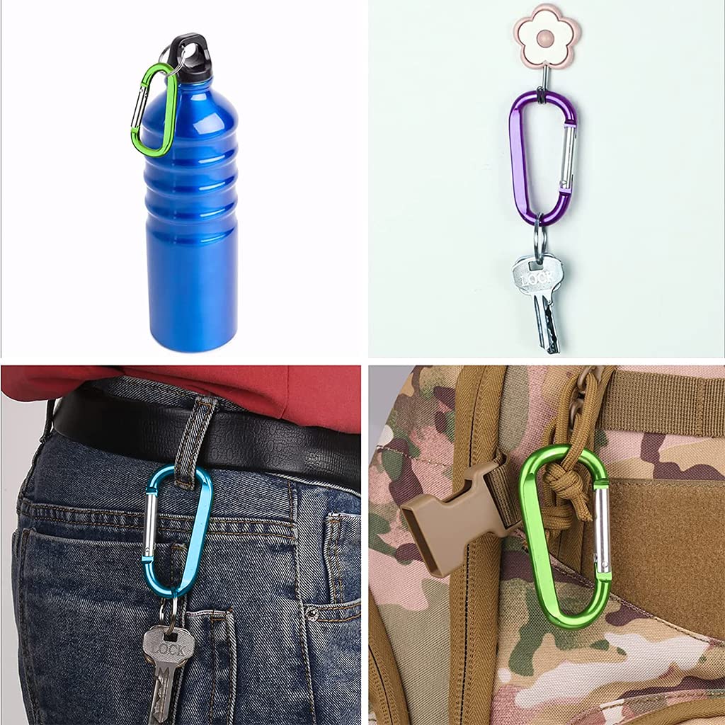 Proberos 5pcs Aluminum D-Ring Carabiner, Ring Clip Hook Keyring Screw Locking, Car Keychain Clip, Carabiner Ring Clip for Hiking, Travel, Riding, Fishing, Camping Pet Lead Hanging