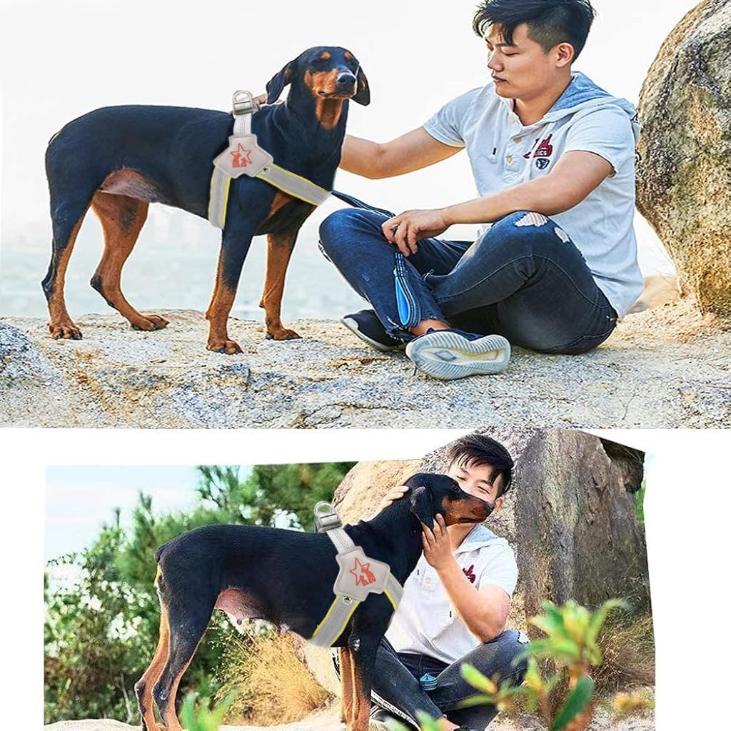 Qpets Dog Harness, Extra Large Dog Harness Quick Release, Adjustable Outdoor Pet Vest Harness for Dogs with Safe Reflective Strip & Double D Rings (XL, Recommended Weight: 35lbs-52lbs)