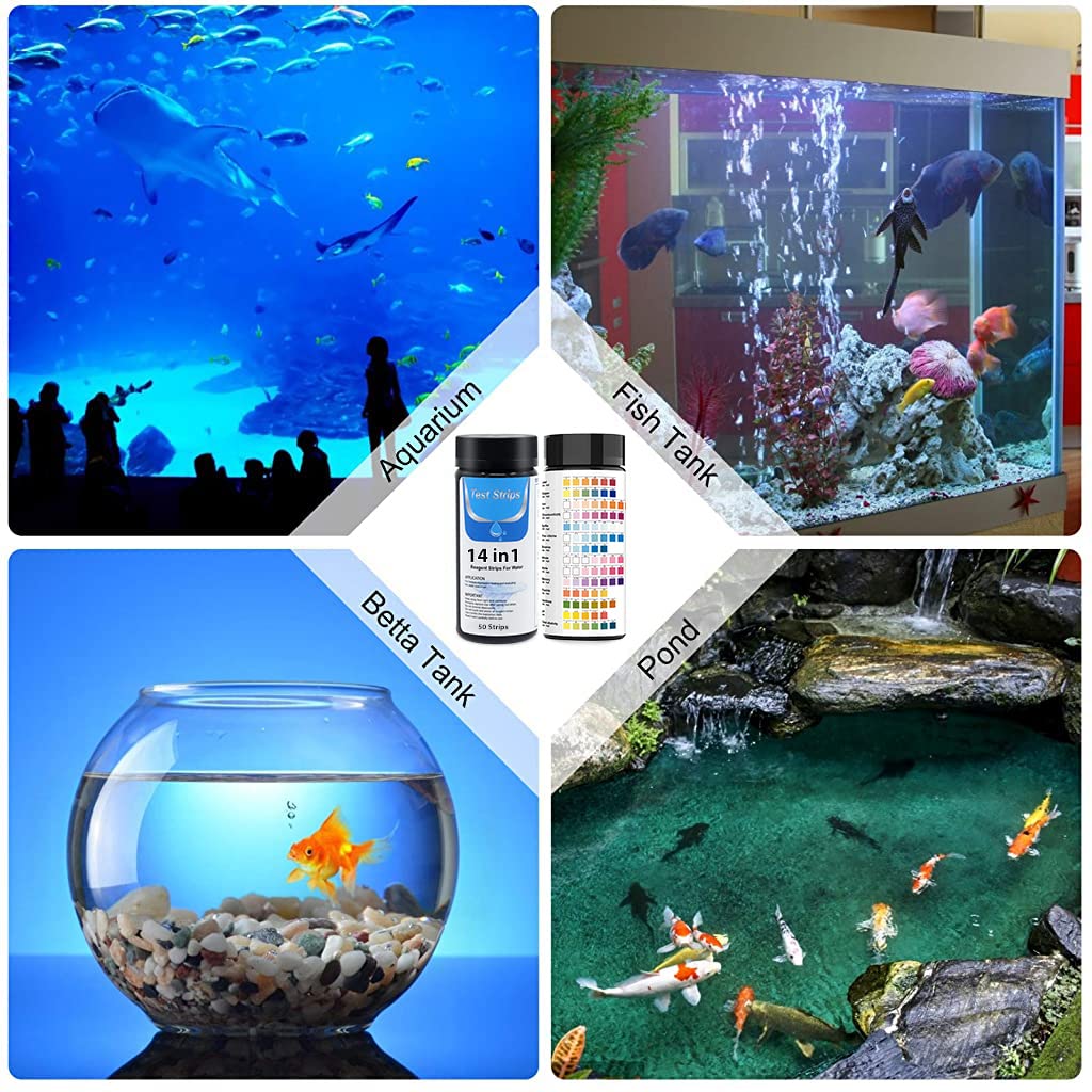 Qpets 50pcs Water Testing PH Testing Strips, 14 in 1 Water Testing Kit Aquarium Test Strips Professional Freshwater Water Testing Kit for PH GH&KH Nitrite Nitrate Chlorine Carbonate
