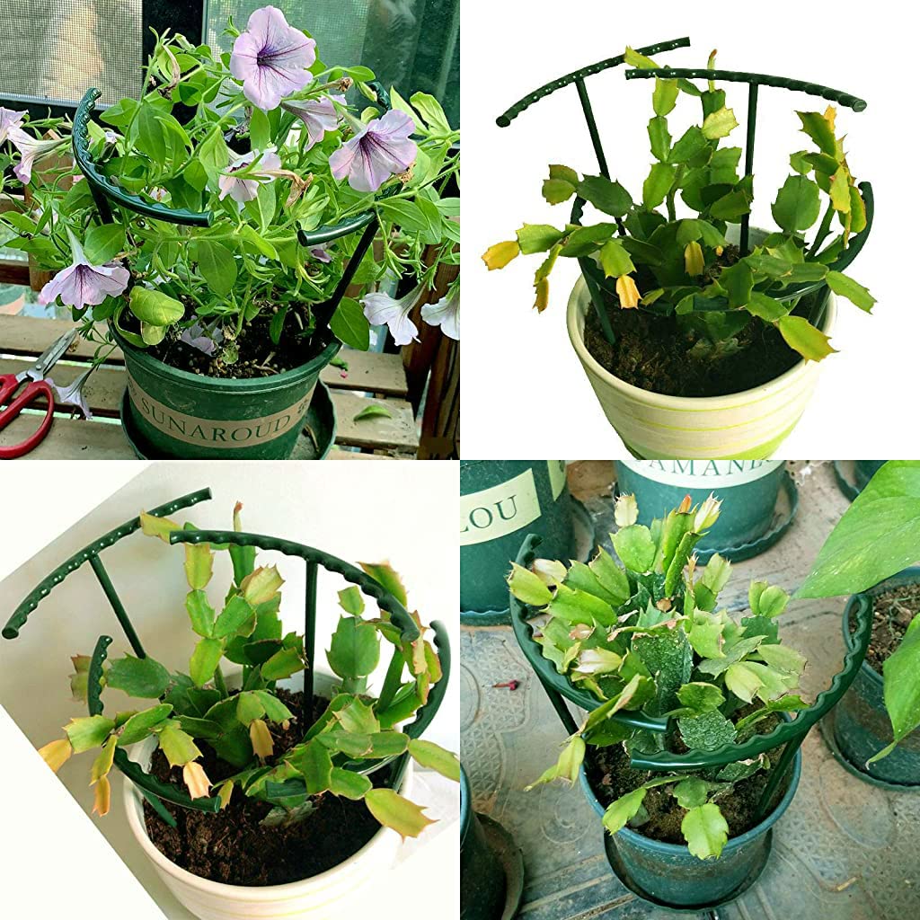 HASTHIP 15pcs Plant Stakes Wire Plant Stake Flower Support Stake Rings Plant Support Sticks for Phalaenopsis Orchid Single Stem Flowers, Amaryllis, Peony, Lily