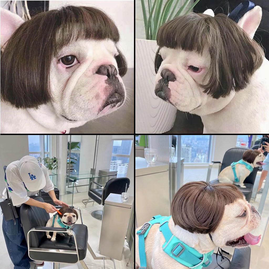 Qpets Funny Dog Wig with Adjustable Chin Strap Pet Funny Wig for Halloween, Festival, Party Straight Brown Hairpiece for Dog Party Dress Up for Dog