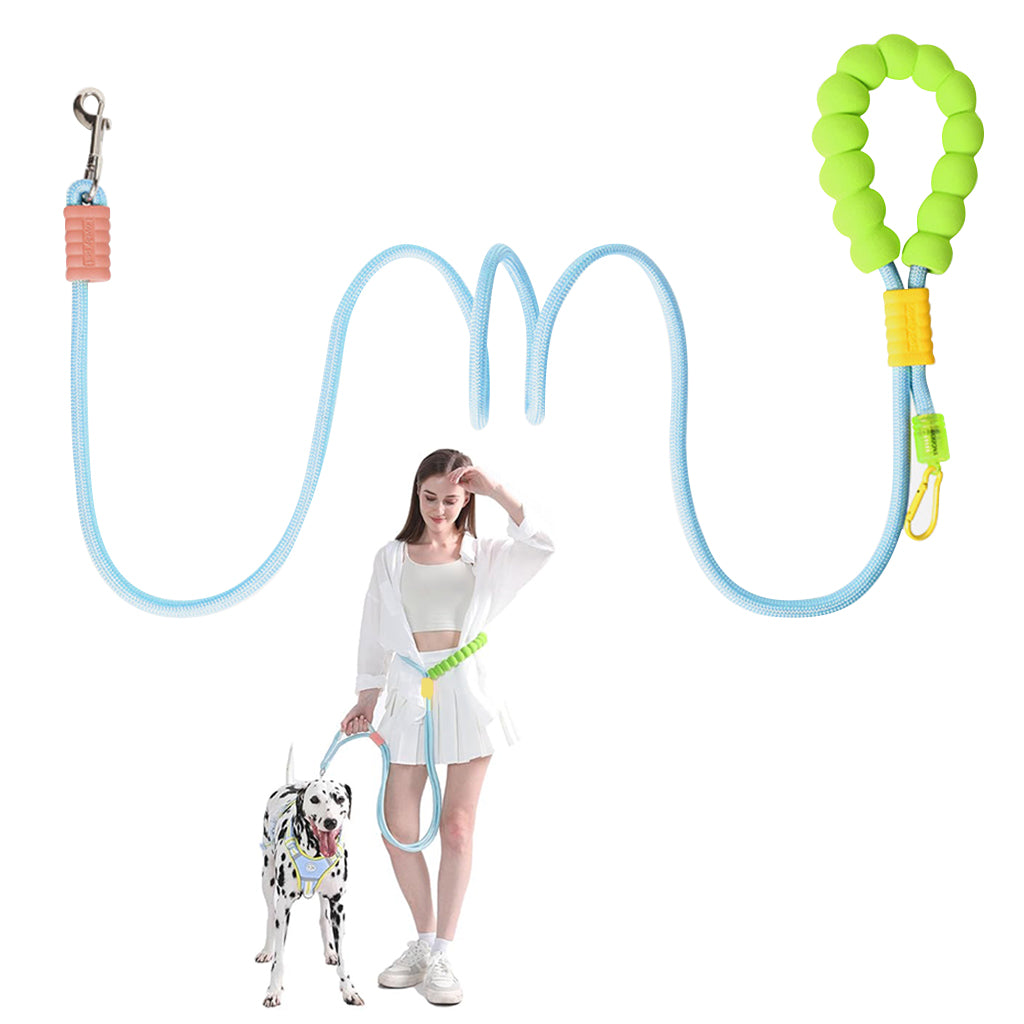 Qpets 5ft Dog Leash with 360 Degree Swiveling Alloy Attachment Buckle Nylon Woven Dog Leash No Pull Dog Leash with Soft Padded Handle & Extra Attaching Carabiner
