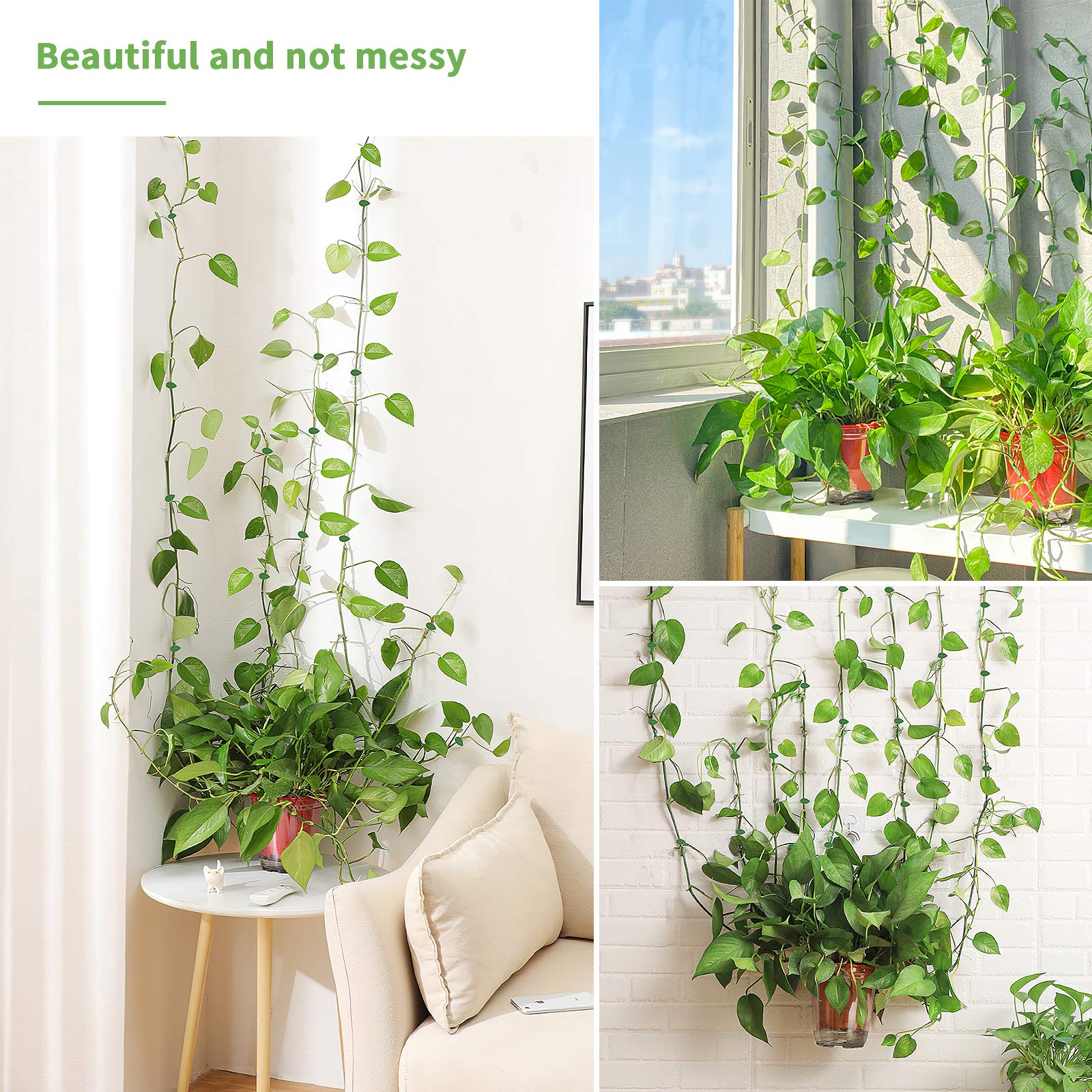 HASTHIP 20Pcs Wall Fixture Clips for Plant Climbing, Vine Plant Climbing Wall Fixer Self-Adhesive Hook, Wall Vines Fixture Wall Hook Vines Climbing Clip for Home