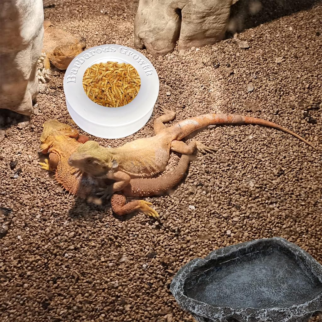 Qpets Pets Food Boxes, PP Feeding Bowl for Reptiles Bearded Dragons Leopard Geckos Feeding Box for Worms, Insects, Anti-Leakage Feeding Box Water Bowl - 2Pcs