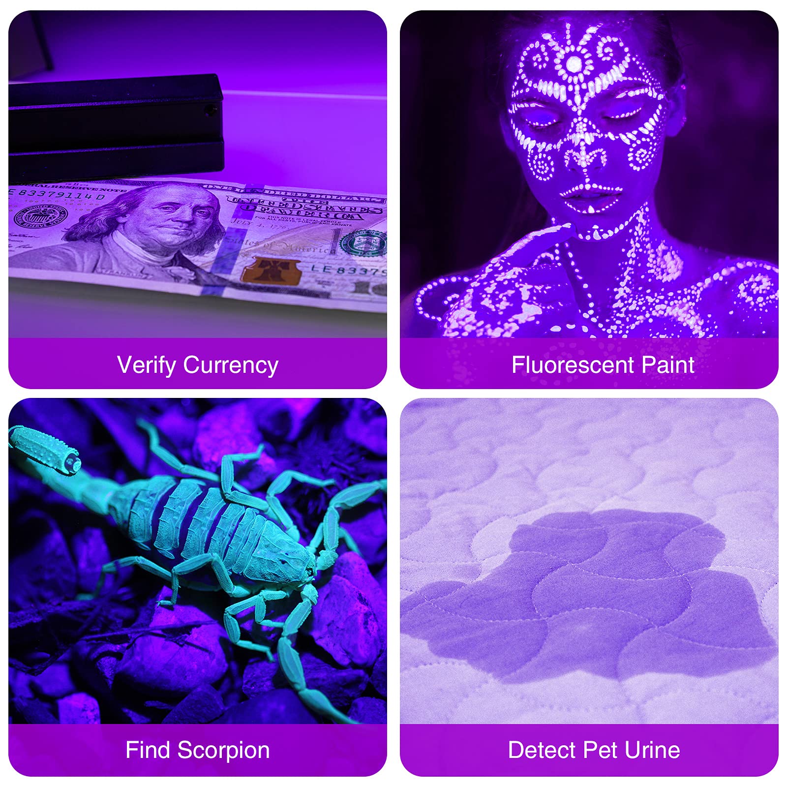 Qpets 395NM UV Light Torch 12 LED UV Portable Flashlight Jade Appraisal Light Detector Lamp, Also Used for Leak, Pet Urine, Bed Bug, Scorpion, Hotel Inspection, Dry Stain