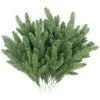 HASTHIP 30pcs Realistic Pine Branches for Christmas Decoration 10inches Pin Needle Branches Home Decor DIY Christmas Realistic Green Decoration for Vase, Table Setting, Garland Wreath HASTHIP 30pcs Realistic Pine Branches for Christmas Decoration 10inches Pin Needle Branches Home Decor DIY Christmas Realistic Green Decoration for Vase, Table Setting, Garland Wreath