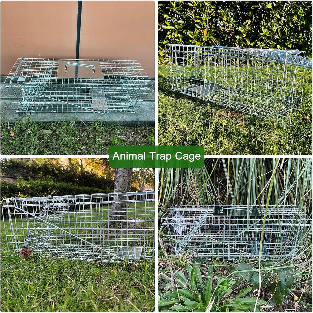 Proberos Live Animal Cage Trap, One-Door Animal Trap forRabbits, Stray Cat, Squirrel, Raccoon, Mole, Release Cage with Handle for Urban Wildlife Rescue 24