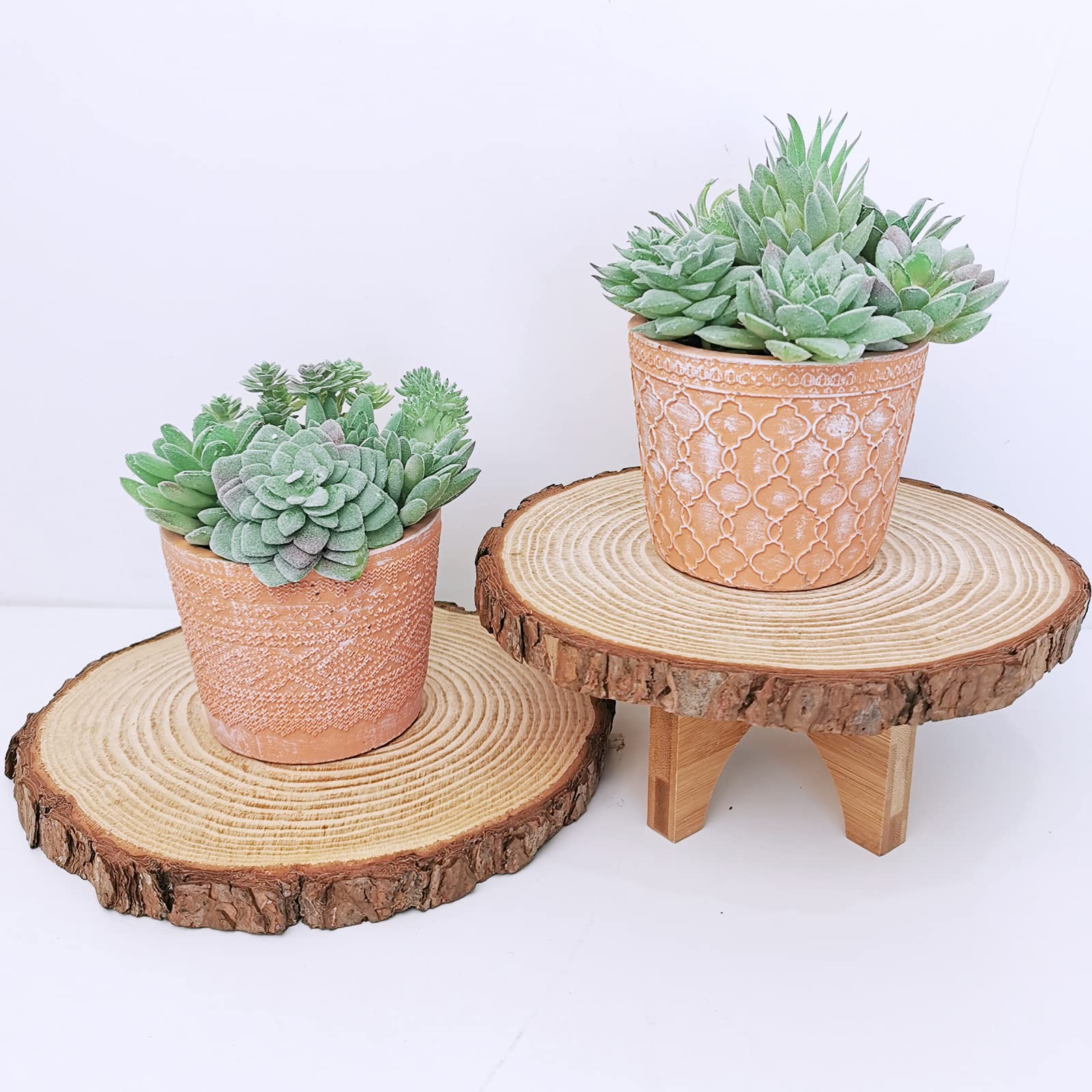 HASTHIP 11Pcs Artificial Succulent Plants, Faux Succulent in Flocked Green in Different Type Different Size, Mini Artificial Plants Desk Decor, Computer Desktop Decoration