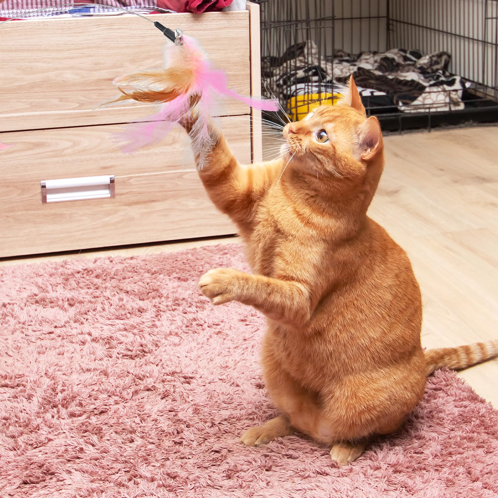 Qpets Cat Feather Collar Cat Teasing Feather Collar Adjustable Rubber Cat Collar Flexible Teasing Feather Toy Self-Entertainment Cat Toy