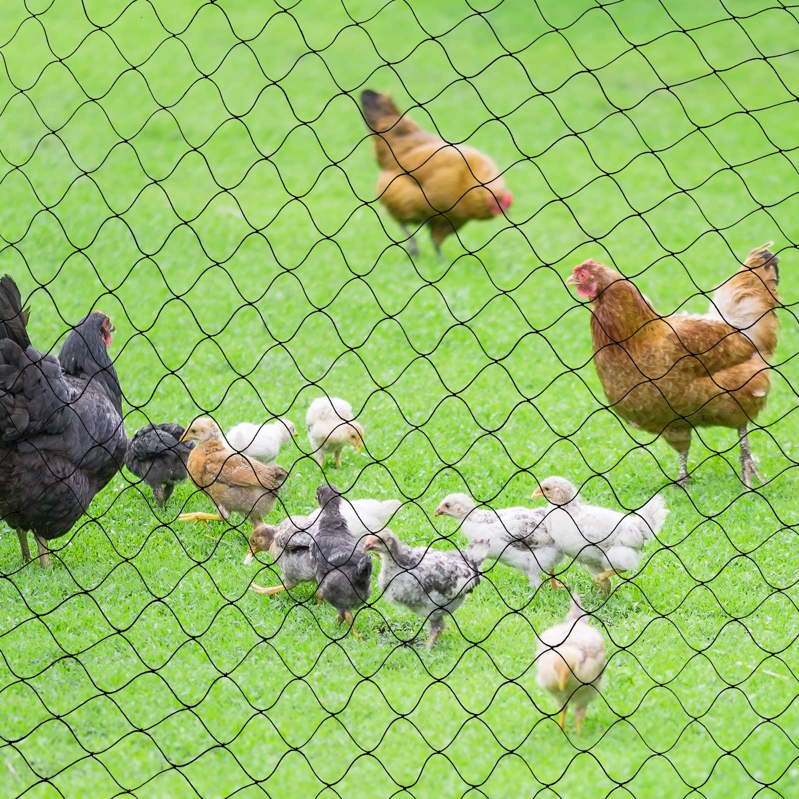 HASTHIP Heavy-Duty Bird Netting 7x15m With Cable Ties, UV-Resistant Nylon Mesh For Garden, Orchard & Balcony, 2.4