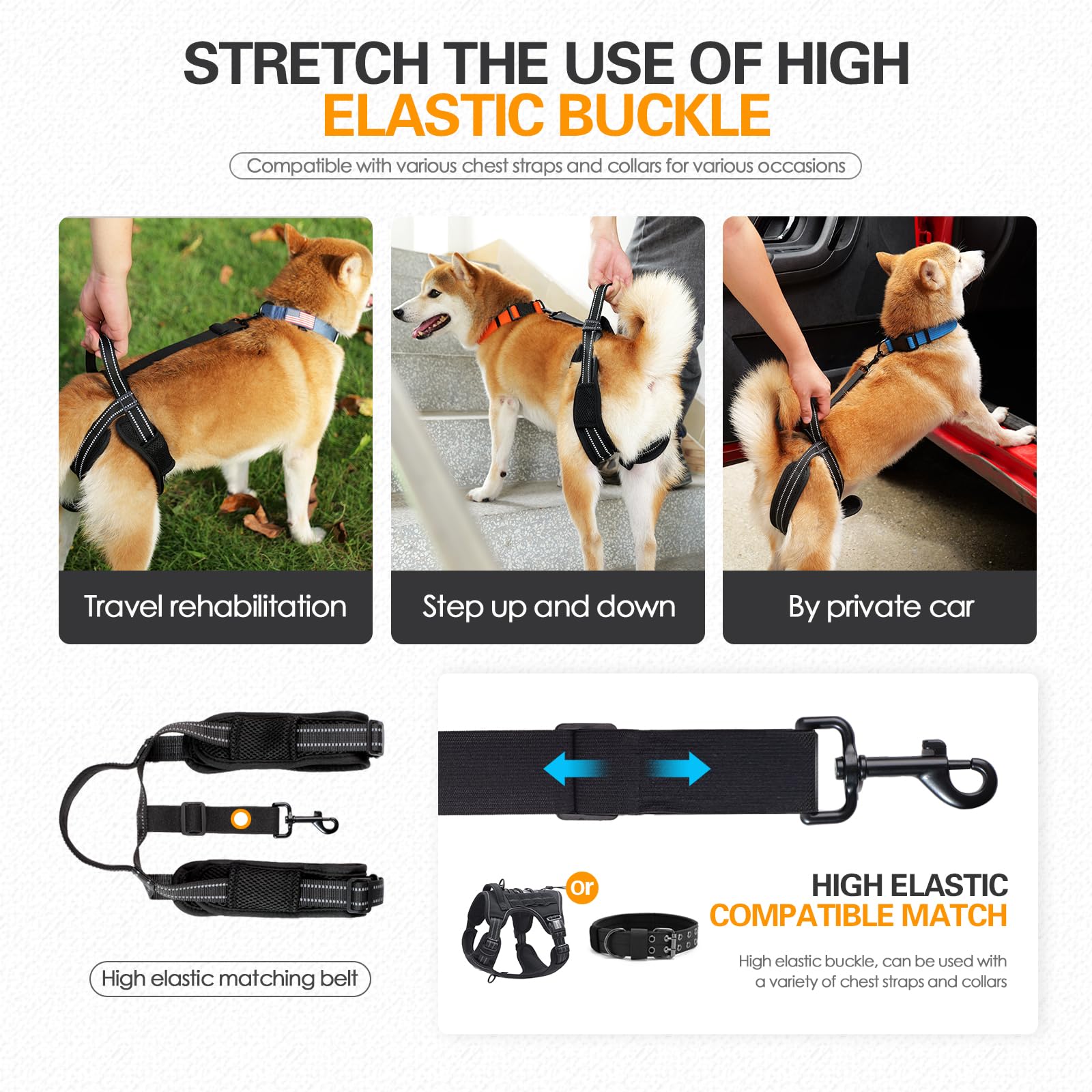Qpets Dog Lift Harness Rear Leg Use Lifting Harness for Dog Rear Legs Support Adjustable Length and Size Rear Legs Walking Assistant Dog Leg Support for Aging Dog, Disabled, Injured Dog(Size, M)