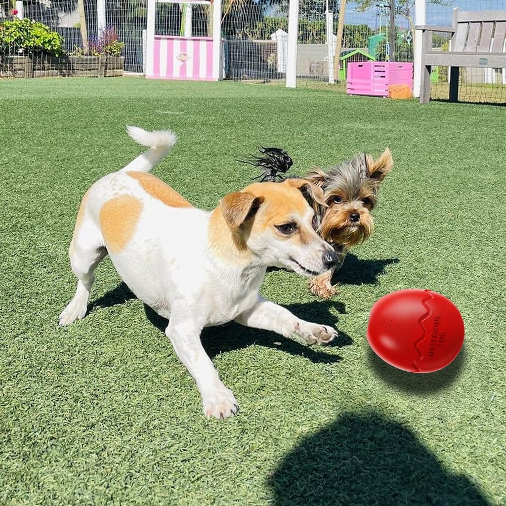 Qpets Ball Toy Dog Toy Slow Feeding Toy Dog Chew Toy Licking Toy Durable Rubber Egg Toy for Dog TreatsToy for Small, Medium Dog Up to 16kg
