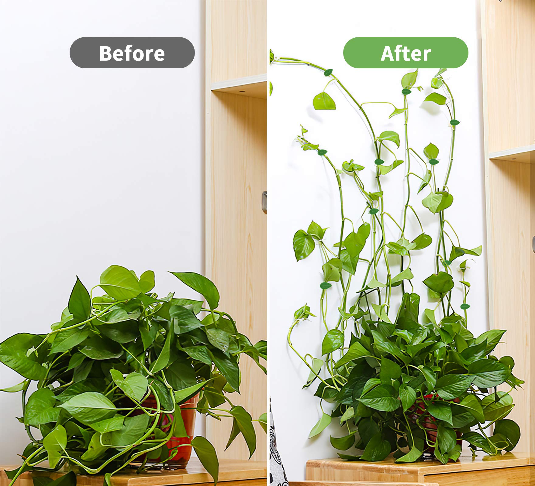 HASTHIP 20Pcs Wall Fixture Clips for Plant Climbing, Vine Plant Climbing Wall Fixer Self-Adhesive Hook, Wall Vines Fixture Wall Hook Vines Climbing Clip for Home