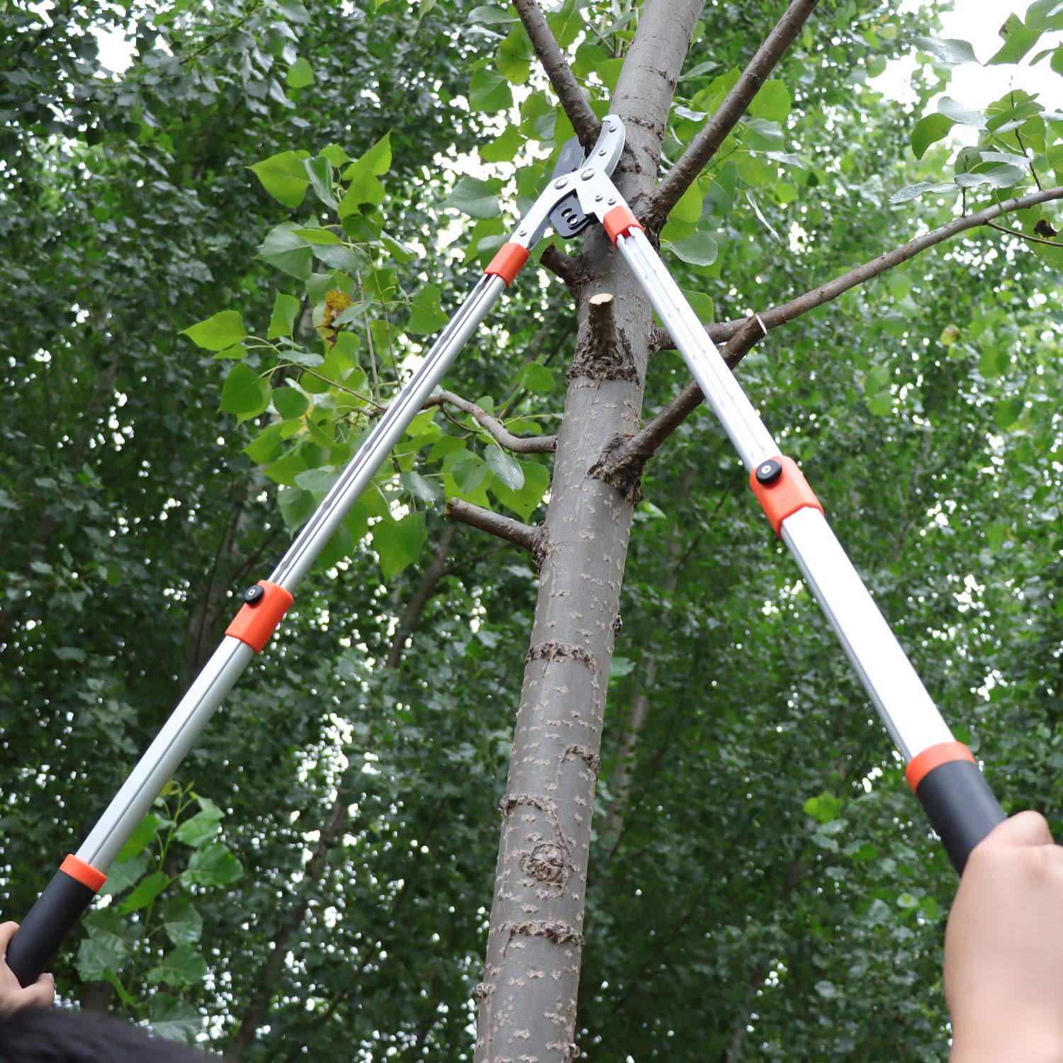 HASTHIP Branch Cutter for Tree with 28-40'' Telescopic Handle and Compound Action, Professional Heavy Duty Bypass Lopper, SK5 Steel Blade Tree Trimmer, 2 inch Clean Cut Capacity