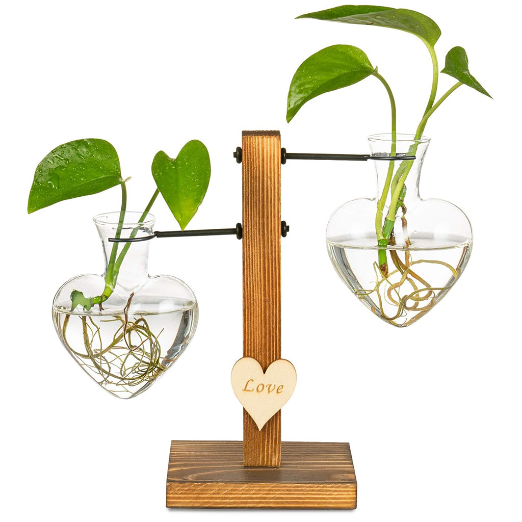 HASTHIP Hydroponic Glass Vase & Stand Kit Heart Shape Hydroponic Glass Bottle with T-Shaped Wooden Stand Romantic Room Decor Gift Hydroponic Glass Vase Kit Christmas Gift Birthday Gift