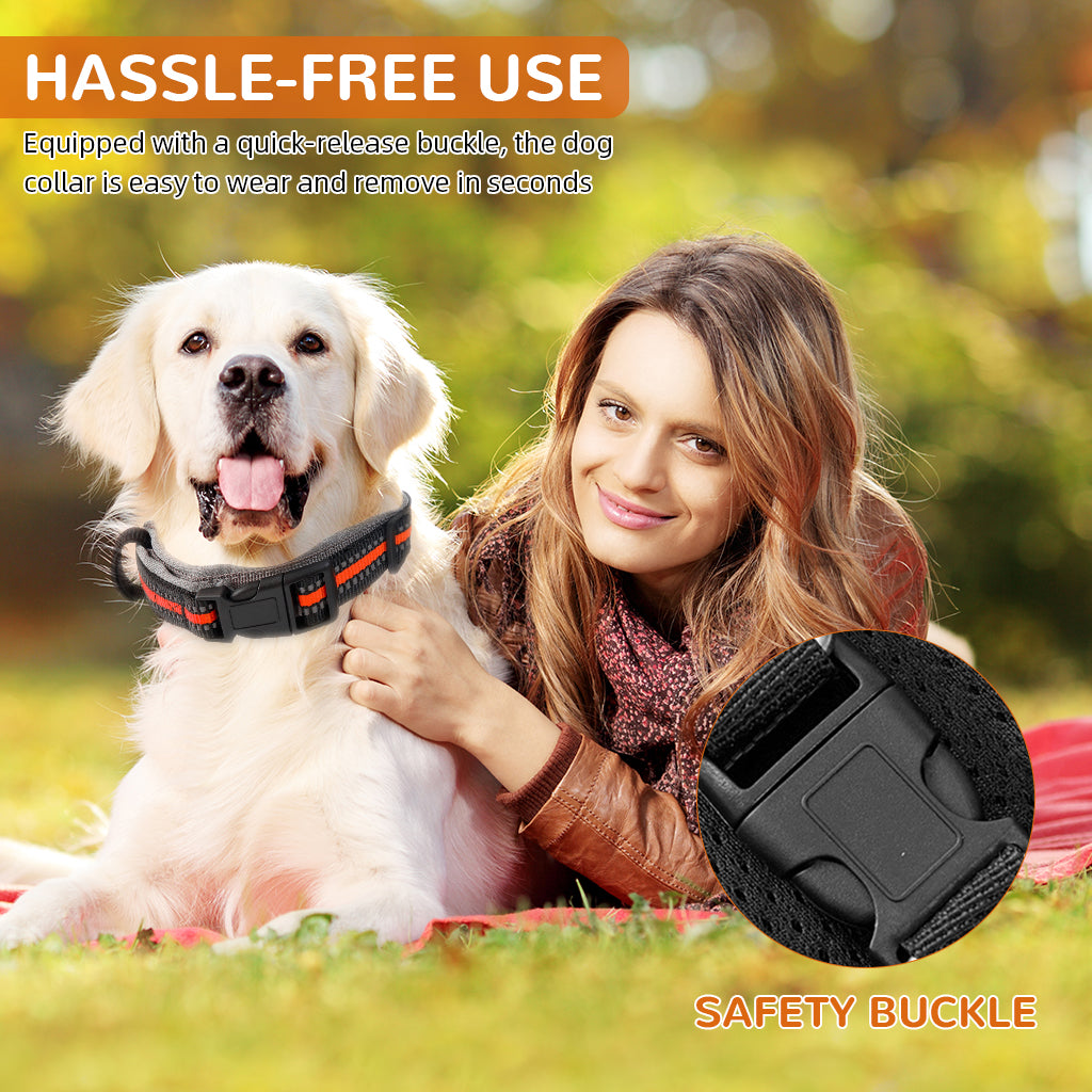 Qpets Dog Collar 2 in 1 Adjustable Dog Collar with 1.5 Meters Retractable Pull Handle Intergrated Dog Leash Dog Collar Night Safety Reflective Dog Collar for Small Medium Dog, Suitable for 10-25kg