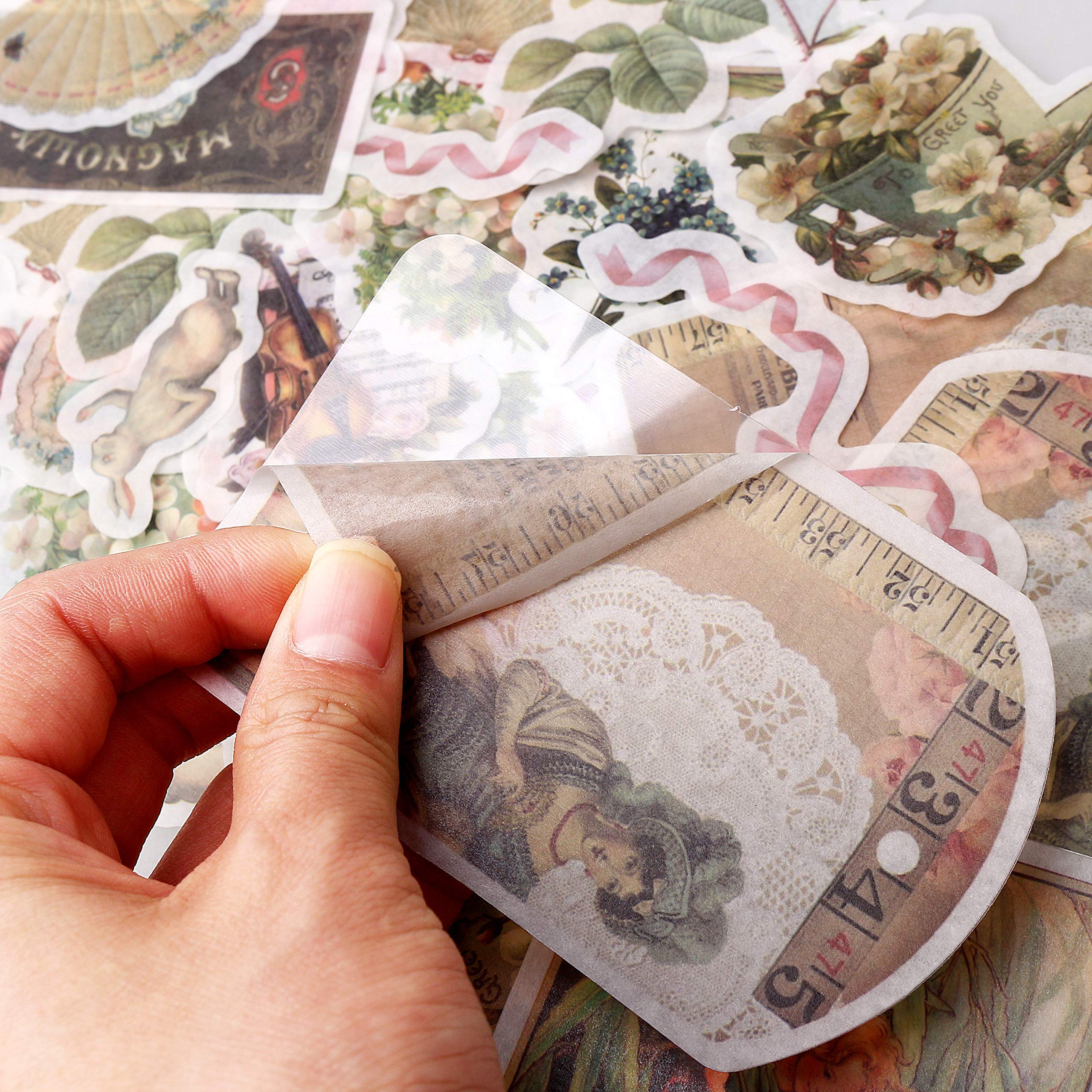 HASTHIP 60 Pcs Vintage Ephemera Pack, Romantic Easy Self-Adhesive Plants Floral Style Decoration Note Paper Stickers for Card Stock Scrapbook Letters Notebook Card Making DIY (Spend time)